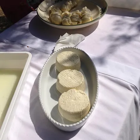 Oleandro * Mattinata