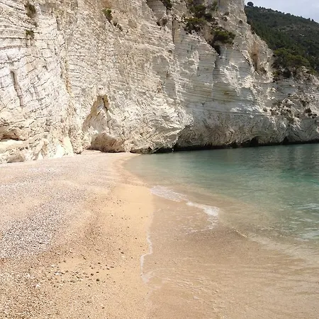 Oleandro