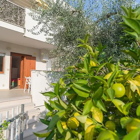 Apartman Oleandro Mattinata